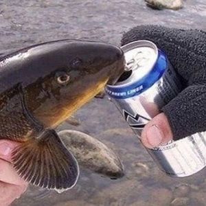 Meet your Posher, Billy